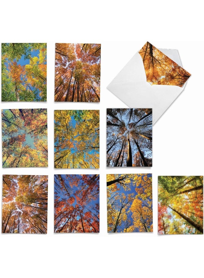 The Best Card Company 10 Beautiful Note Cards Blank - Fall and Autumn Season, Boxed Notecard Assortment - Image 1