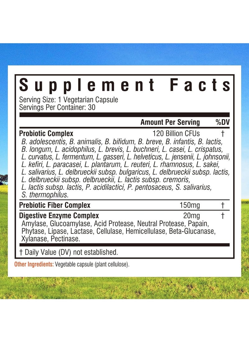 Innate Vitality Probiotics 120 Billion CFUs, 34 Strains with Prebiotics & Digestive Enzymes - 30 Capsules  - Image 2
