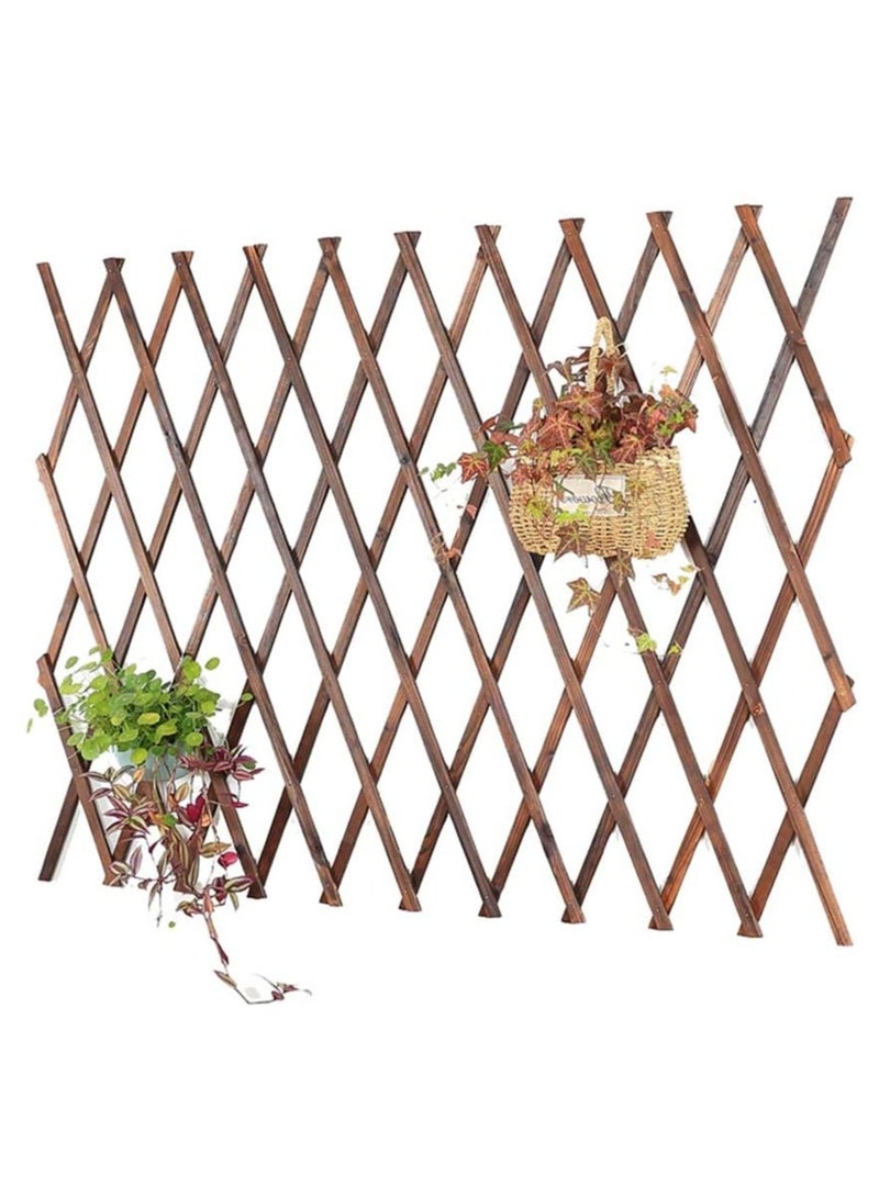 LINGWEI Wooden Expandable Garden Fence Portable Wicker Bamboo Trellis Frame for Climbing Plants - Image 4