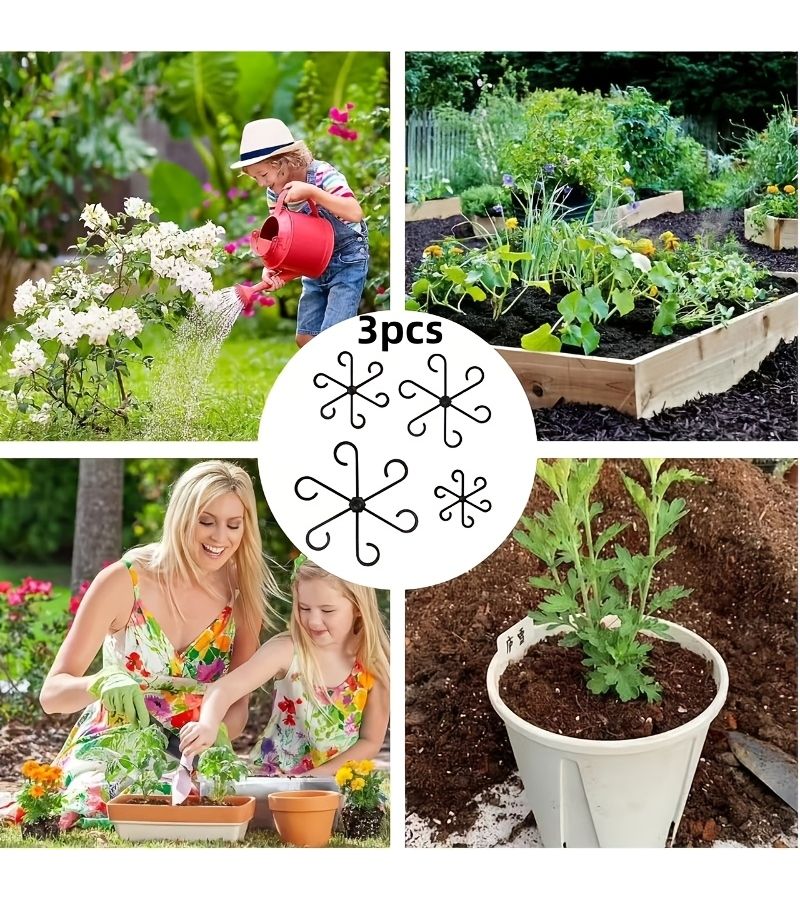 3pcs Transparent Plant Support Frame for Monstora Paradise Flowers - Image 1
