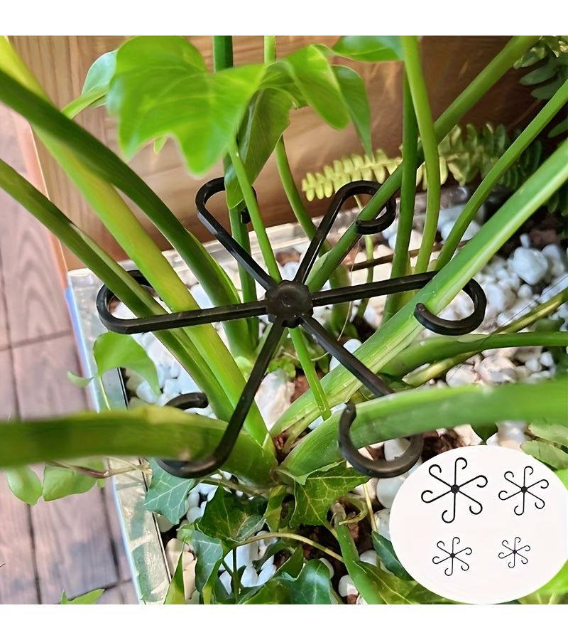 3pcs Transparent Plant Support Frame for Monstora Paradise Flowers - Image 3