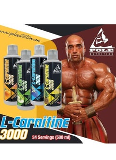 إل-كارنيتين 3000 بنكهة التوت الأزرق - 34 حصة من Pole Nutrition - pzsku/Z5C46CFB0609DFD61D776Z/45/_/1724250517/1c0fad43-19c9-43f9-851c-3f836fc29de7