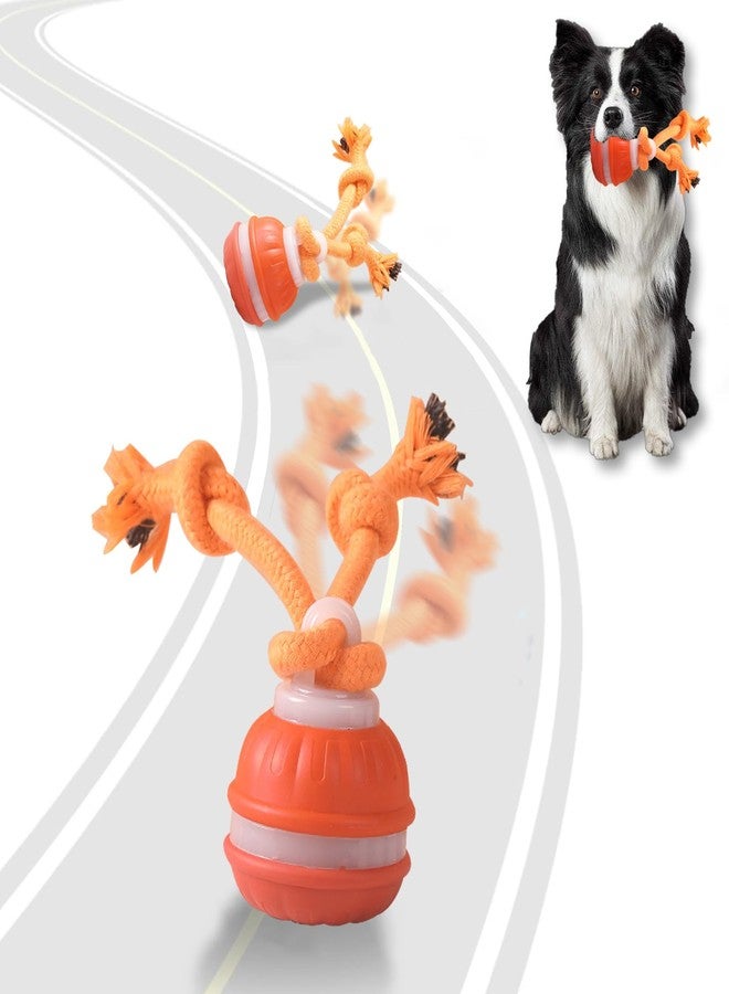 TVM Interactive Dog Toys, Motion Activate Rolling Ball for Small Medium Large Dogs, Automatic Moving Toy, Interactive Dog Ball Stimulation Toy for Boredom Relief (Orange) - Image 1