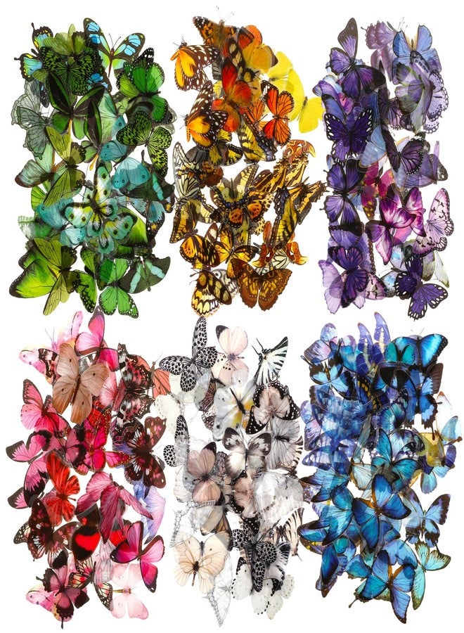 COMNICO 240PCS Butterfly Stickers, PET Waterproof Transparent Colorful Resin Decals Decorative for Nature Scrapbook Planners Laptops DIY Handbook Paper Crafts - Image 1