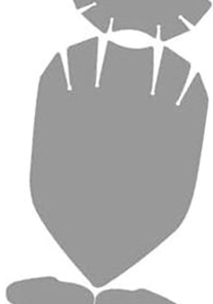 QASULER Motorcycle Screen Protector for Street Triple 765 - Image 1