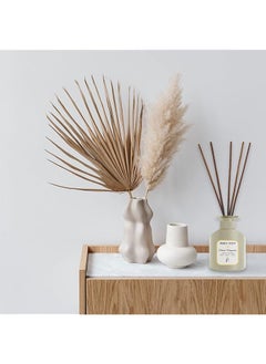 erorex Musk Magnolia Oil Diffuser Weight 200Ml Dimension 8.5  - Image 3