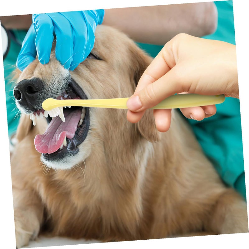 Soft Round Head Pet Toothbrush For Dogs And Cats Gentle Gum Protection And Deep Cleaning - Image 4