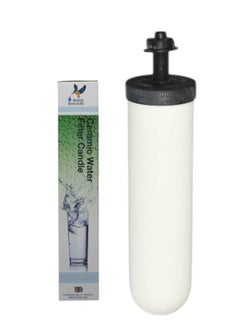ceramic cartridge for the English  filter with carbon inside