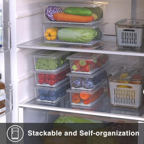 VeriXpress Fridge Storage Boxes (Pack of 6), Fridge Organizer With Removable Drain Plate, Fridge Storage Containers 1500 ML, Keeps Fruits, Vegetables Fresh Longer - Image 5