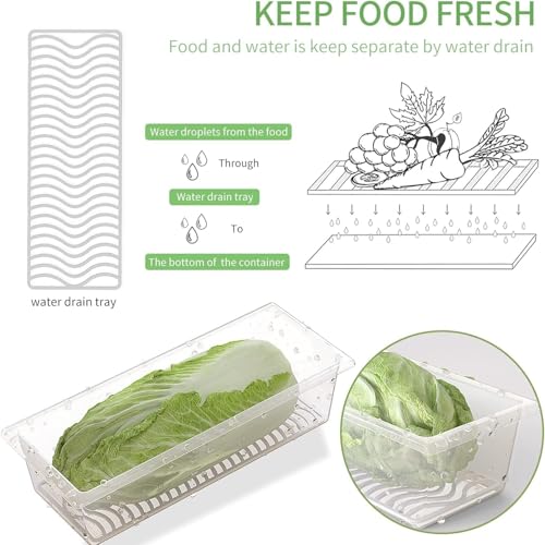 VeriXpress Fridge Storage Boxes (Pack of 6), Fridge Organizer With Removable Drain Plate, Fridge Storage Containers 1500 ML, Keeps Fruits, Vegetables Fresh Longer - Image 3