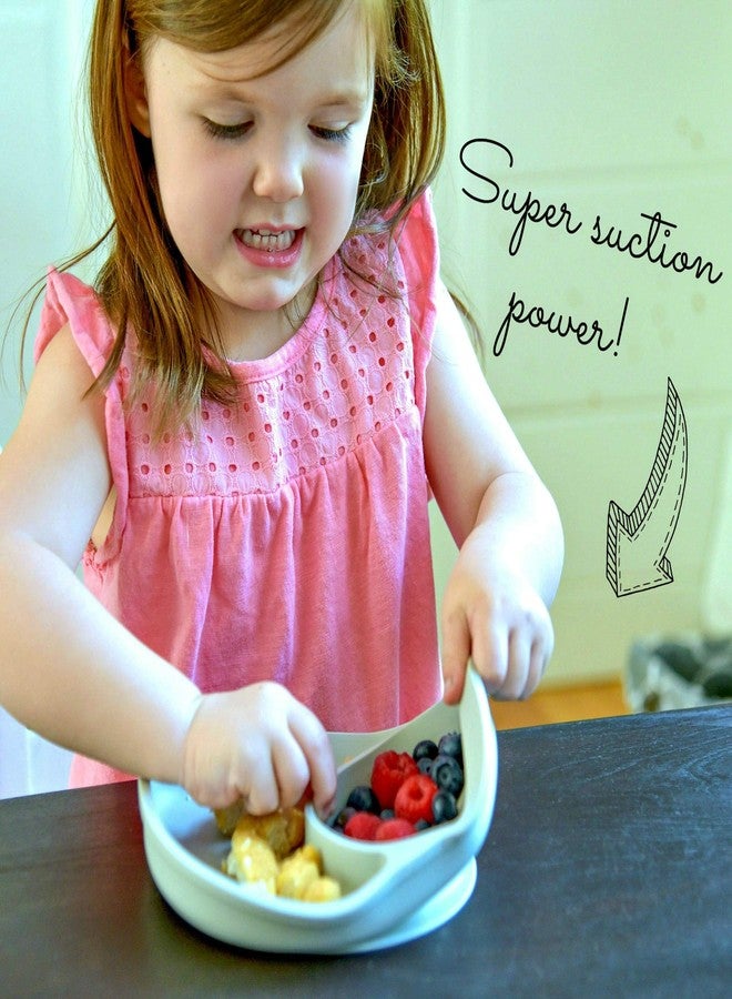 Sage Spoonfuls 7-Piece Feeding Set Suction Plate and Reusable Baby Food Pouches for Babies and Toddlers, 100% Silicone Divided Plate with Suction Base, 6-Pack BPA Free 7oz Reusable Food Pouches - Image 5