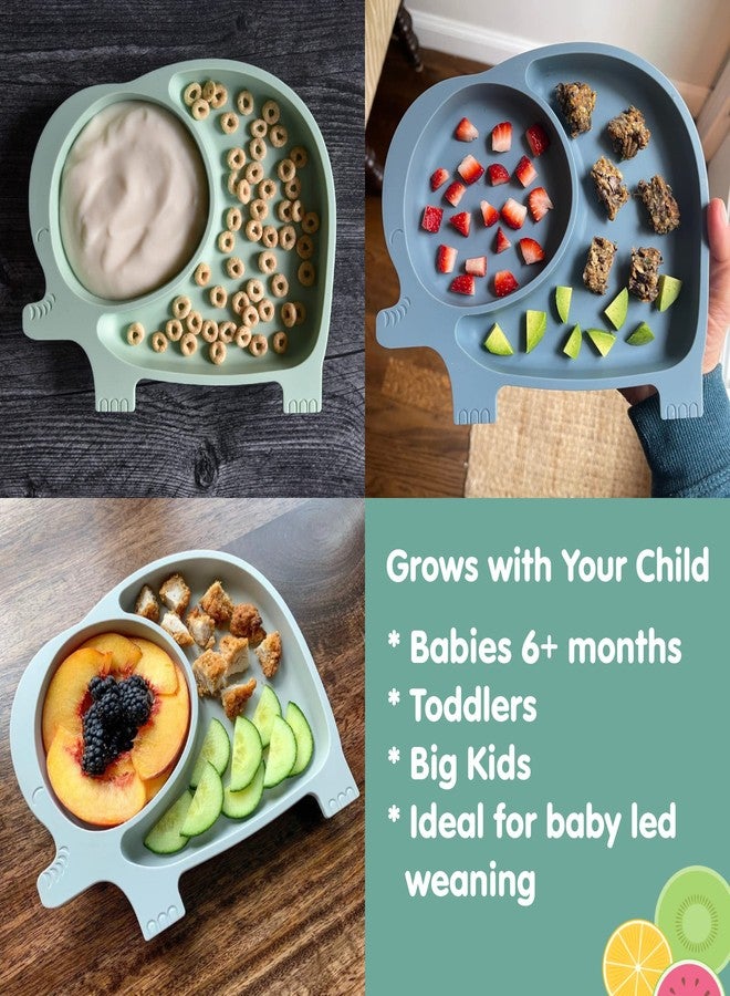 Sage Spoonfuls 7-Piece Feeding Set Suction Plate and Reusable Baby Food Pouches for Babies and Toddlers, 100% Silicone Divided Plate with Suction Base, 6-Pack BPA Free 7oz Reusable Food Pouches - Image 3