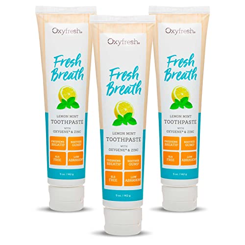 Oxyfresh Premium Maximum Fresh Breath Lemon Mint Toothpaste Clean Teeth Fresh Breath Natural Essential Oils Natural Xylitol to Help Fight Tartar SLS Fluoride Free 35oz
