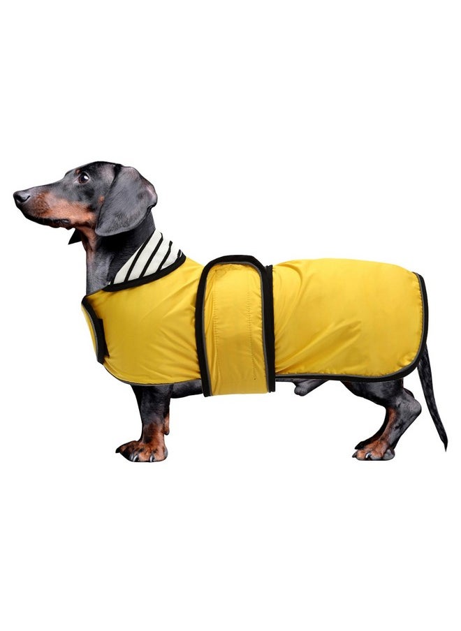 Dachshund Raincoat Waterproof, Perfect For Dachshund Sausage Weiner Long Back Breeds With Reflective Stripe Rain Coat For Dogs Great Coverage In Autumn Winter  Yellow  S - pzsku/Z5C4D055747B6AB0340ABZ/45/_/1726218751/55a8b8e4-3fc5-4074-b31f-fce58e9fdf5f