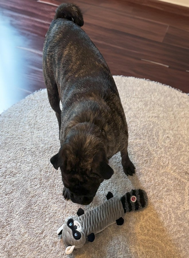 SPOT Skinneeez Stretch and Squeak Dog Toy - Stuffing-Free Stretchy Toy with Crinkle and Squeaker, Fun for Dogs to Tug and Fetch, Assorted Animal Characters - Beaver, Raccoon, or Fox - 13in - Image 5