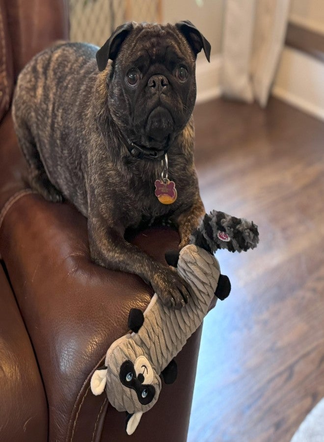 SPOT Skinneeez Stretch and Squeak Dog Toy - Stuffing-Free Stretchy Toy with Crinkle and Squeaker, Fun for Dogs to Tug and Fetch, Assorted Animal Characters - Beaver, Raccoon, or Fox - 13in - Image 3