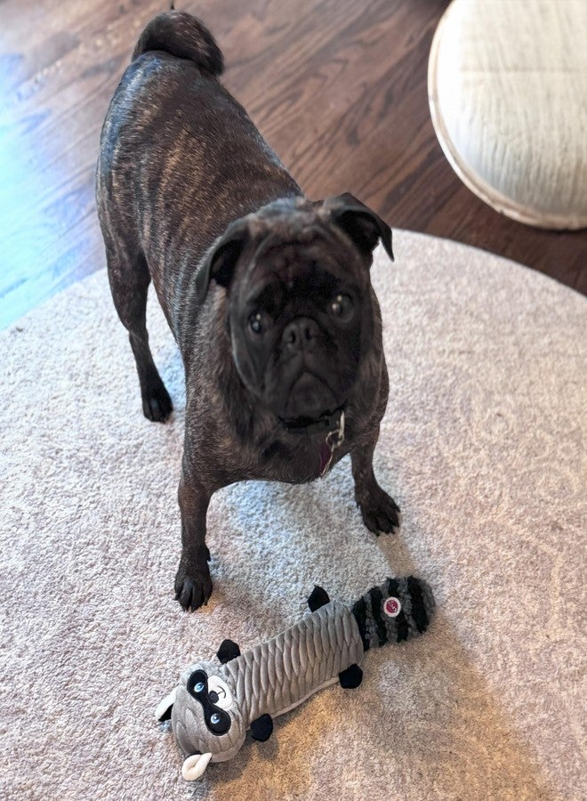 SPOT Skinneeez Stretch and Squeak Dog Toy - Stuffing-Free Stretchy Toy with Crinkle and Squeaker, Fun for Dogs to Tug and Fetch, Assorted Animal Characters - Beaver, Raccoon, or Fox - 13in - Image 2