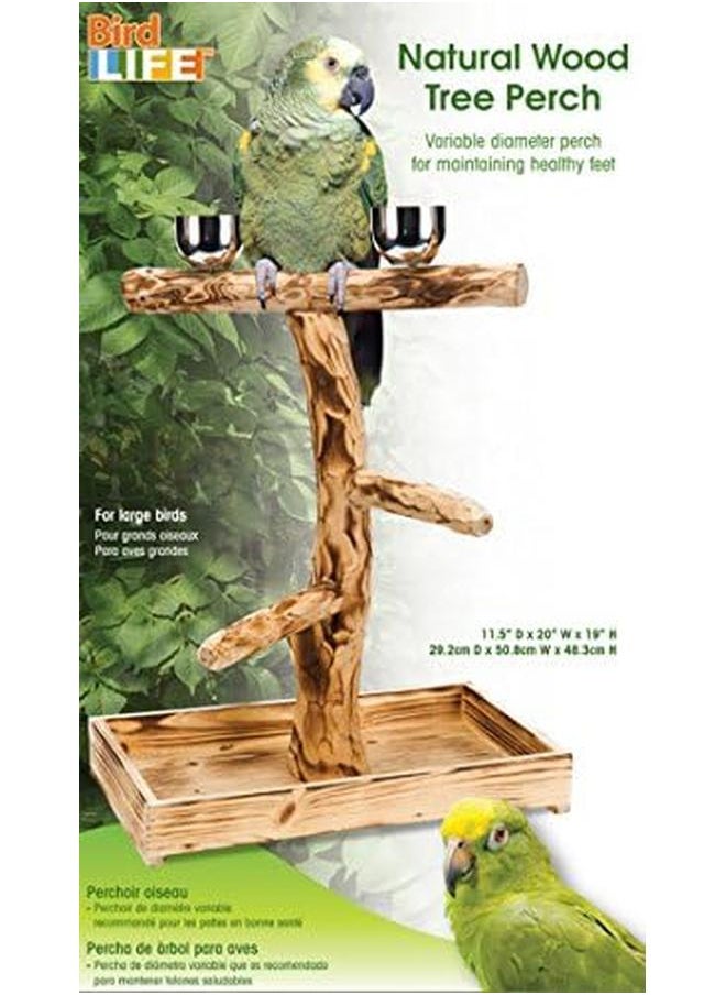 Penn Plax - Bird Life Natural Wood Tree Perch For Large Birds And Parrots – Includes Food And Water Bowls And Drop Tray – Large - Image 1
