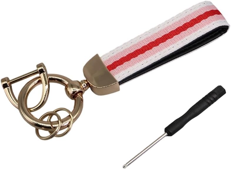 Double Layer Striped Keychain with Rings Fit for Car Keys and Home Keys Sturdy Multi Color Design - Image 1