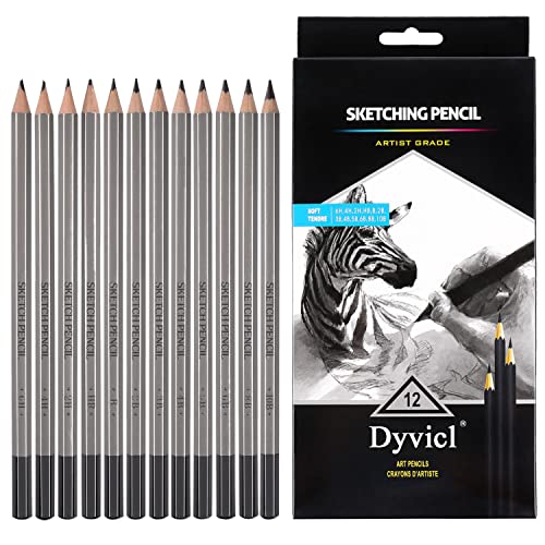 Dyvicl Professional Drawing Sketching Pencil Set - 12 Pieces Drawing Pencils 10B, 8B, 6B, 5B, 4B, 3B, 2B, B, HB, 2H, 4H, 6H Graphite Pencils for Kids, Beginners, Pro Artists - Image 1