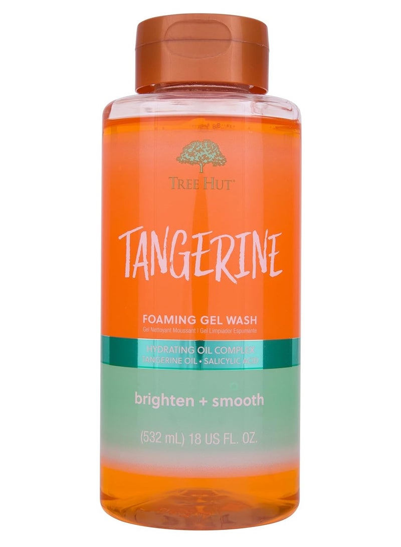 Tree Hut Tree Hut Tangerine Foaming Gel Wash | Cleanse & Soothe Skin without Stripping Moisture | Made with our Hydrating Oil Complex | 18 fl oz.  - Image 1