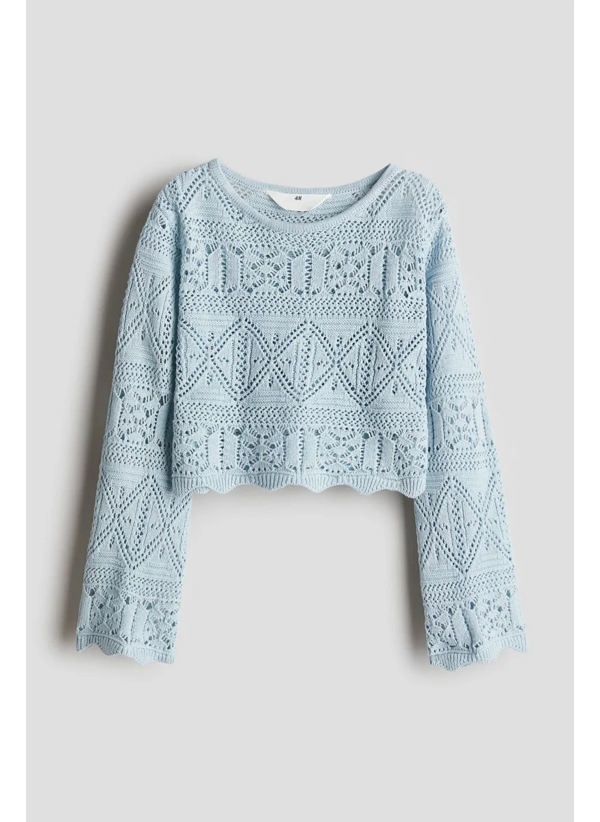 اتش اند ام Pointelle-Knit Cropped Top