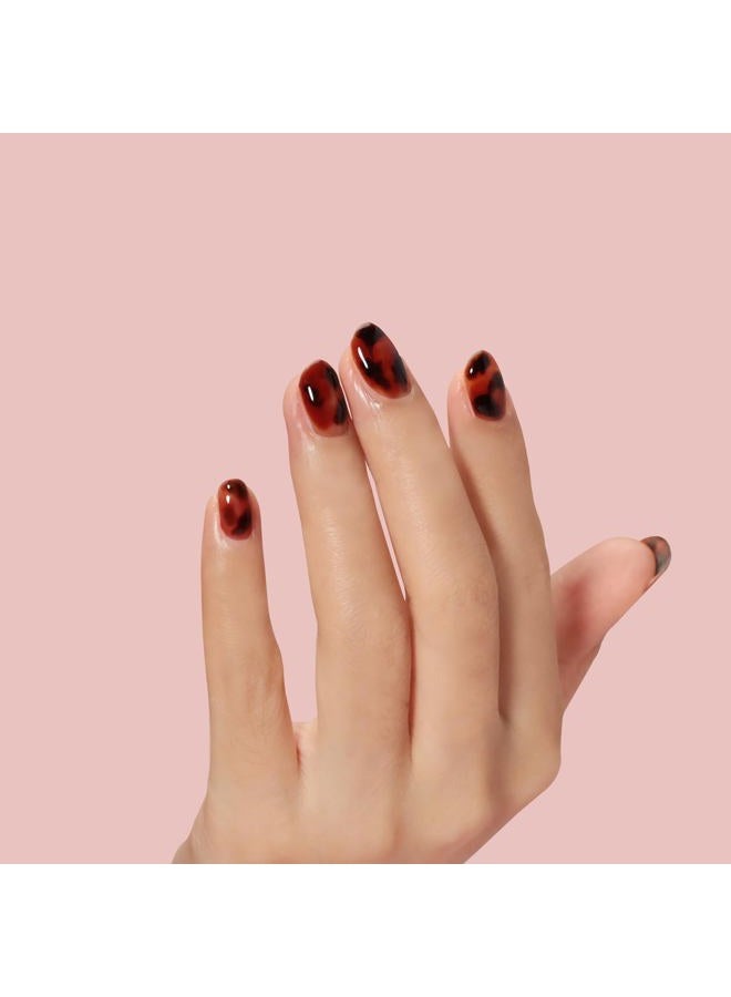 FZANEST Fall Gel Nail Polish Colors Set,Jelly Brown Gel Polish Nail Crystal Transparent Yellow Orange Blood Red Dark Wine Gel Polish Kit Manicure DIY Nail Art Home Salon for Women - Image 5