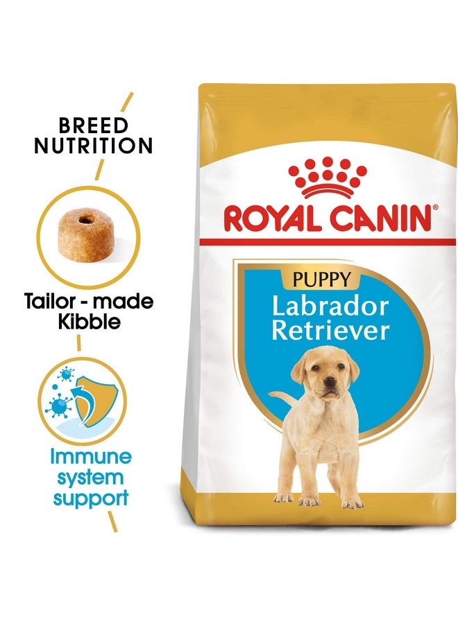 ROYAL CANIN Labrador Retriever Puppy Kibble Dog Food, Meat Flavour, 1000 G - Image 2