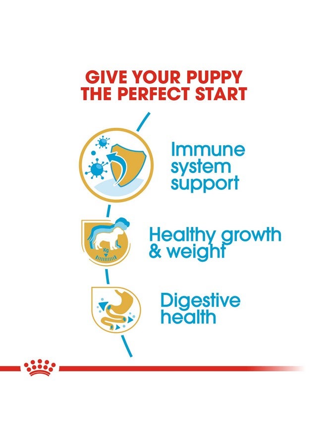 ROYAL CANIN Labrador Retriever Puppy Kibble Dog Food, Meat Flavour, 1000 G - Image 4