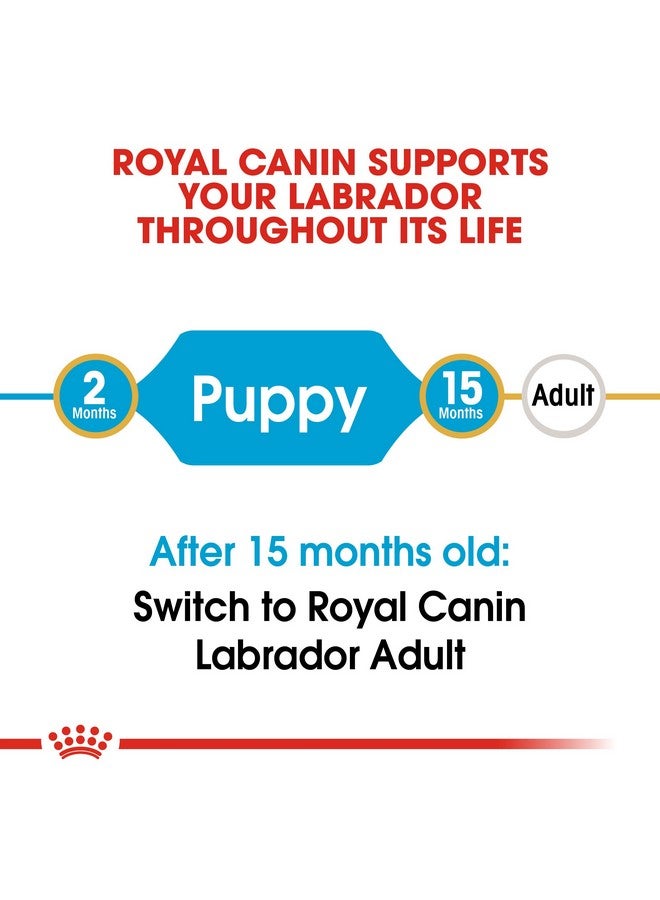 ROYAL CANIN Labrador Retriever Puppy Kibble Dog Food, Meat Flavour, 1000 G - Image 3