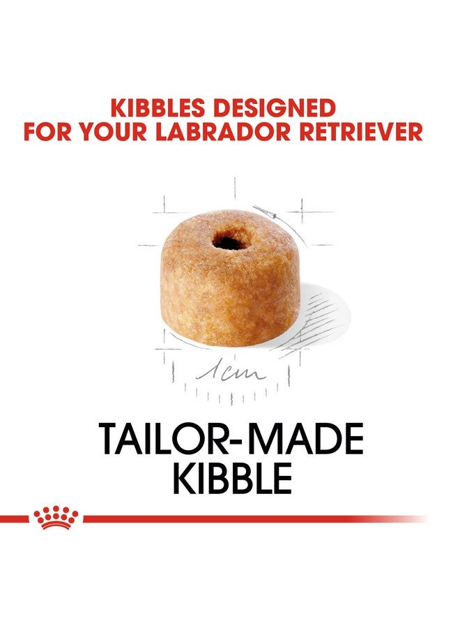 ROYAL CANIN Labrador Retriever Puppy Kibble Dog Food, Meat Flavour, 1000 G - Image 5