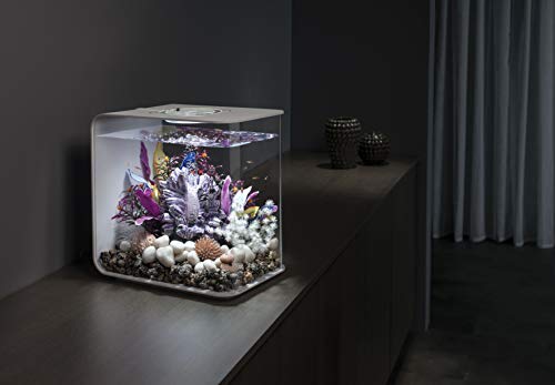 biOrb Flow 15 Acrylic 4Gallon Aquarium with MultiColor RemoteControlled LED Lights Modern Compact Tank for Tabletop or Desktop Display White - Image 3
