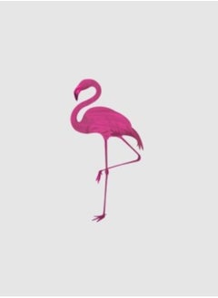 Jardin Flamingo Argan Oil & Coffee Sugar Scrub 600 gm  - Image 2