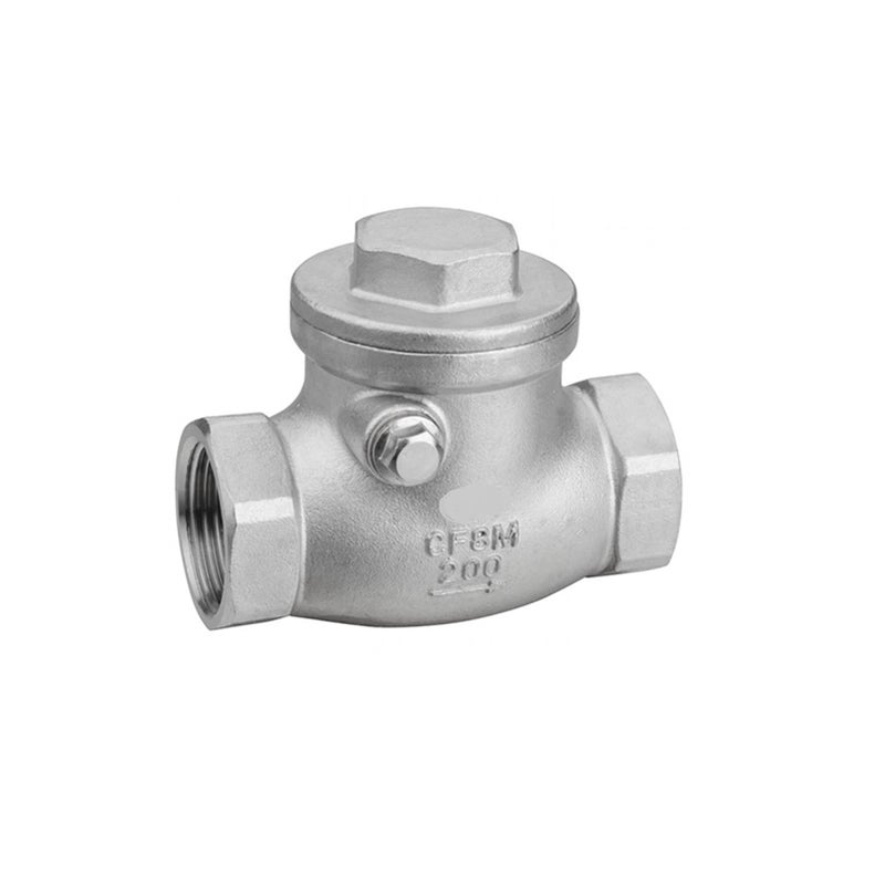 صمام فحص سوينج من الفولاذ المقاوم للصدأ DN25 بخيوط BSPT 200 PSI PN16 - Image 2