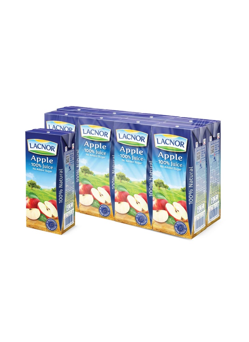 noon Sunbites Olive And Oregano Bread Bites 18grams Pack of 12 + Lacnor Apple Juice 180ml Pack of 8 - Image 3