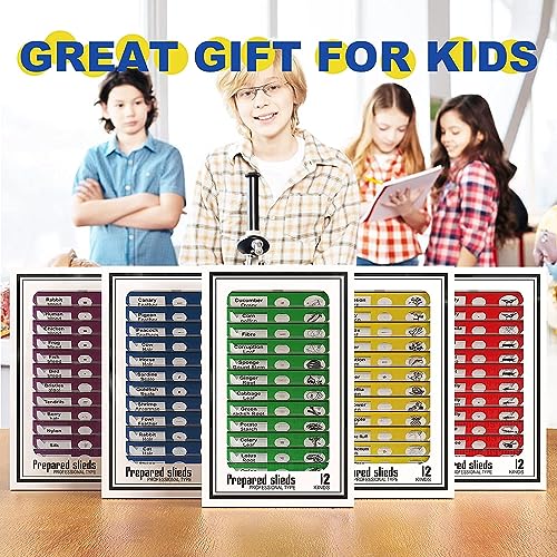 Jiusion 60Pcs Prepared Microscope Slides Specimen Animals Insects Plants Flowers Sample Biological Specimen, Stereo Microscope Slide for Kids Children Students Enlighten Education - Image 3