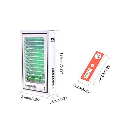 Jiusion 60Pcs Prepared Microscope Slides Specimen Animals Insects Plants Flowers Sample Biological Specimen, Stereo Microscope Slide for Kids Children Students Enlighten Education - Image 4