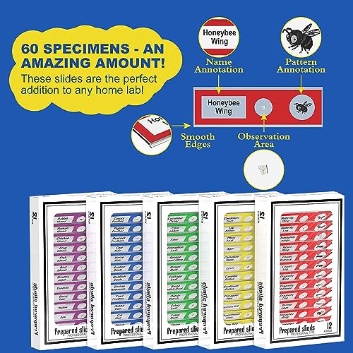 Jiusion 60Pcs Prepared Microscope Slides Specimen Animals Insects Plants Flowers Sample Biological Specimen, Stereo Microscope Slide for Kids Children Students Enlighten Education - Image 5