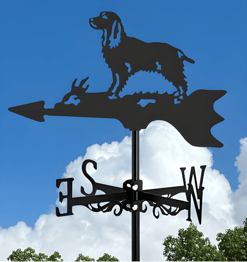 Iron Art Wind Direction Indicator Decorative Country Style Metal Ornament Outdoor Roof Decoration Home Garden Figurine Su mu 