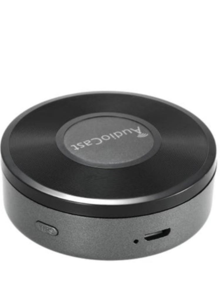 LOULUEN WIFI Audio Speaker 