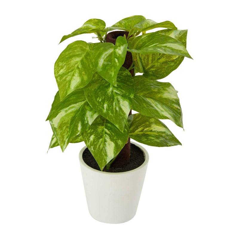 Nearly Natural 9in. Pothos Artificial Plant in White Planter (Real Touch) - Image 1