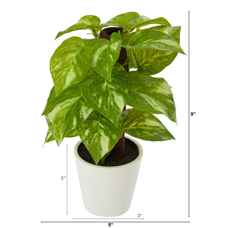Nearly Natural 9in. Pothos Artificial Plant in White Planter (Real Touch) - Image 2