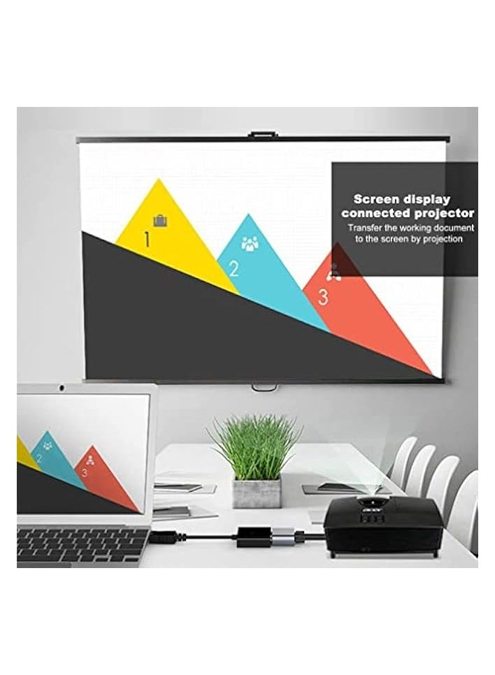 erorex Dp To VGA Male to Female Adapter, for DP Device Computer and Older Generation PC - Image 5