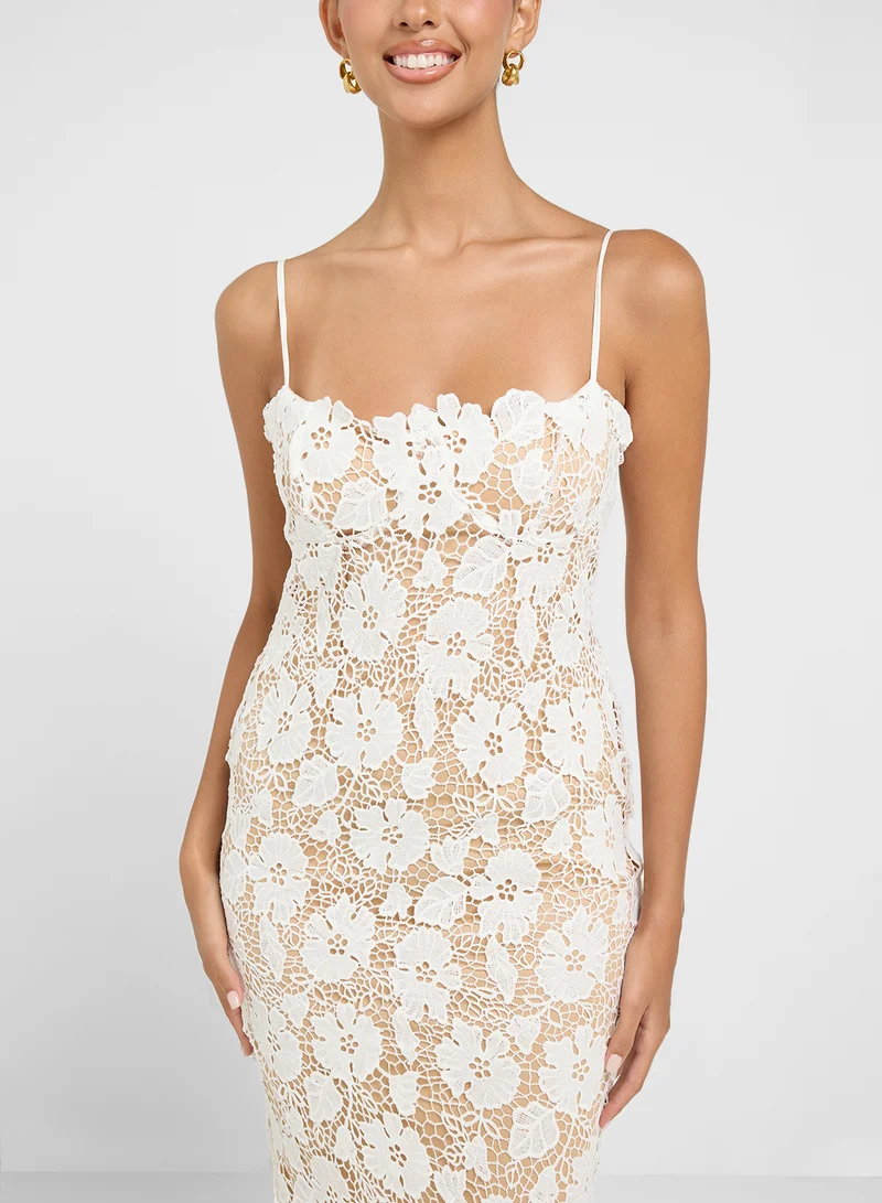 Ginger Floral Lace Midi Dress