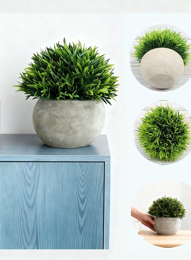 HOOPZOZA HOOPZQZA Artificial Mini Potted Plants 2PCS Short-needle Grass Eco-Friendly Fake Plant with Pot Decor for Home and Office Indoor and Outdoor Garden Shelf - Image 2