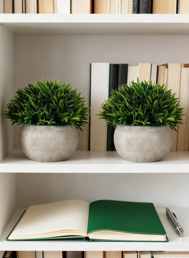 HOOPZOZA HOOPZQZA Artificial Mini Potted Plants 2PCS Short-needle Grass Eco-Friendly Fake Plant with Pot Decor for Home and Office Indoor and Outdoor Garden Shelf - Image 3