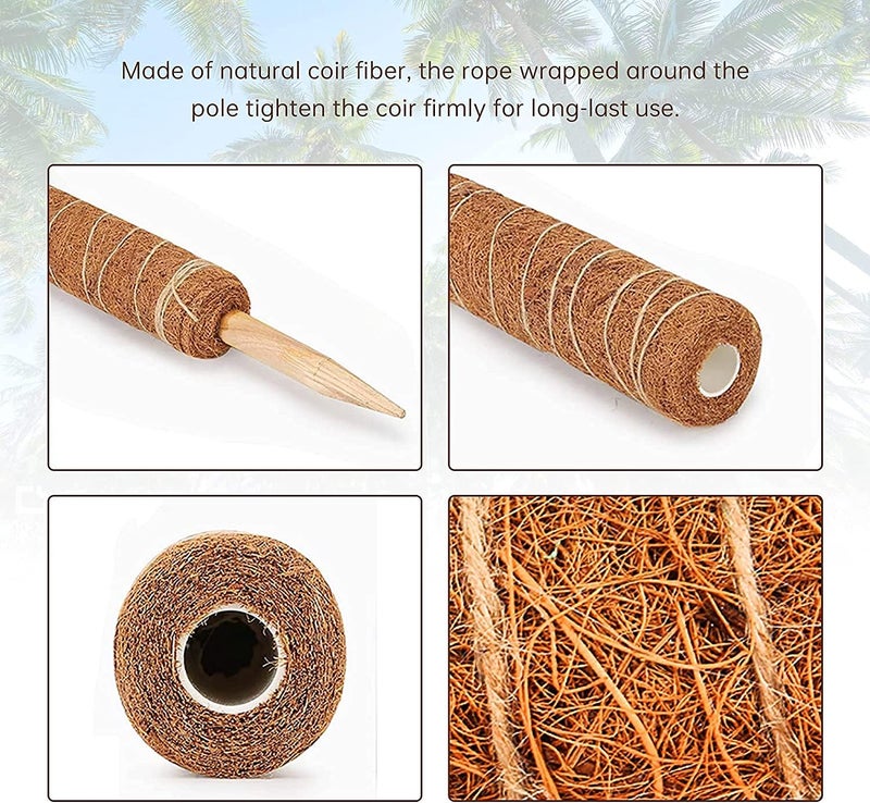 woobles Moss Pole - 12/16/20 Inch Moss Poles for Plants Monstera, 2 Pack Natural Coco Plant Pole for Climbing Indoor Potted Plants to Grow Upwards, Train Creeper Plants Grow Upwards (20Inch) - Image 5