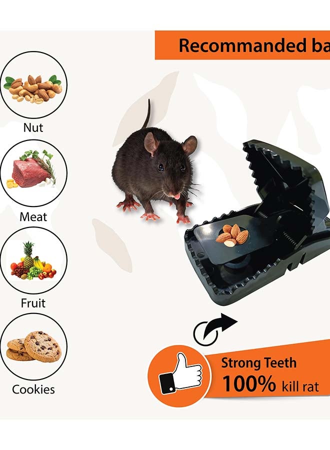 PODO فخ الفئران - الحل النهائي لمكافحة القوارض - Image 5