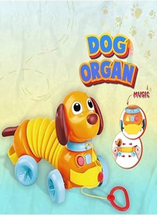 Bingo - Bingo Toddler Dog organ with music - Image 1