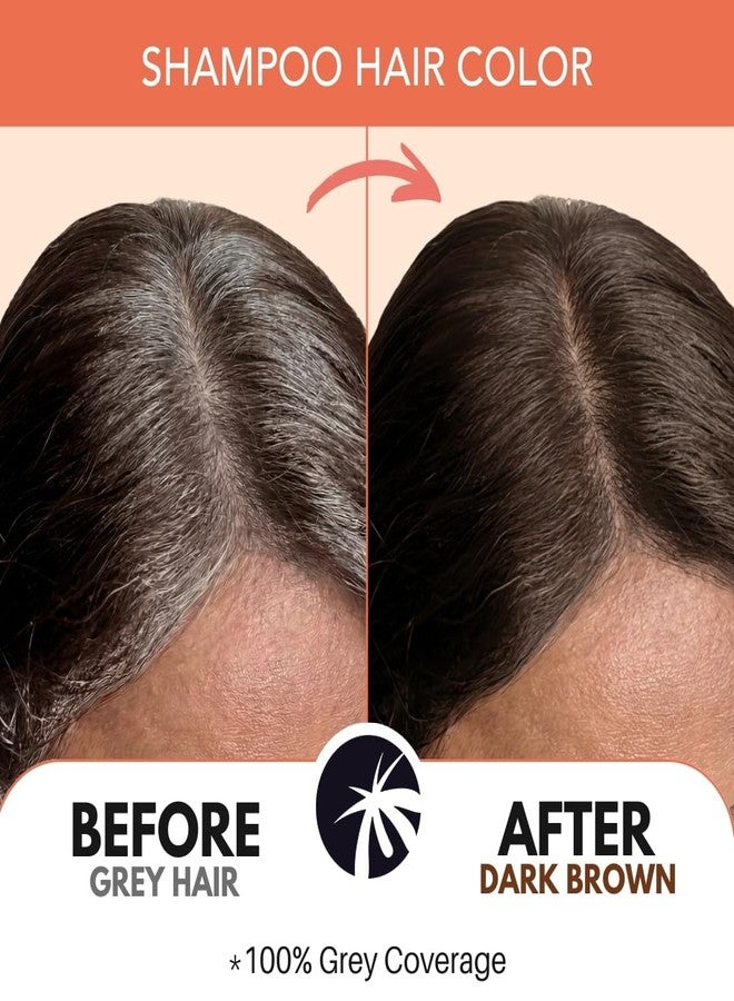 Paradyes Coconut Fix Shampoo Hair Color Dark Brown 3.0, No Ammonia, Enriched with Coconut Extracts to Minimizes Dryness, 5 - Minute Grey Coverage, Pack of 4 - Image 5